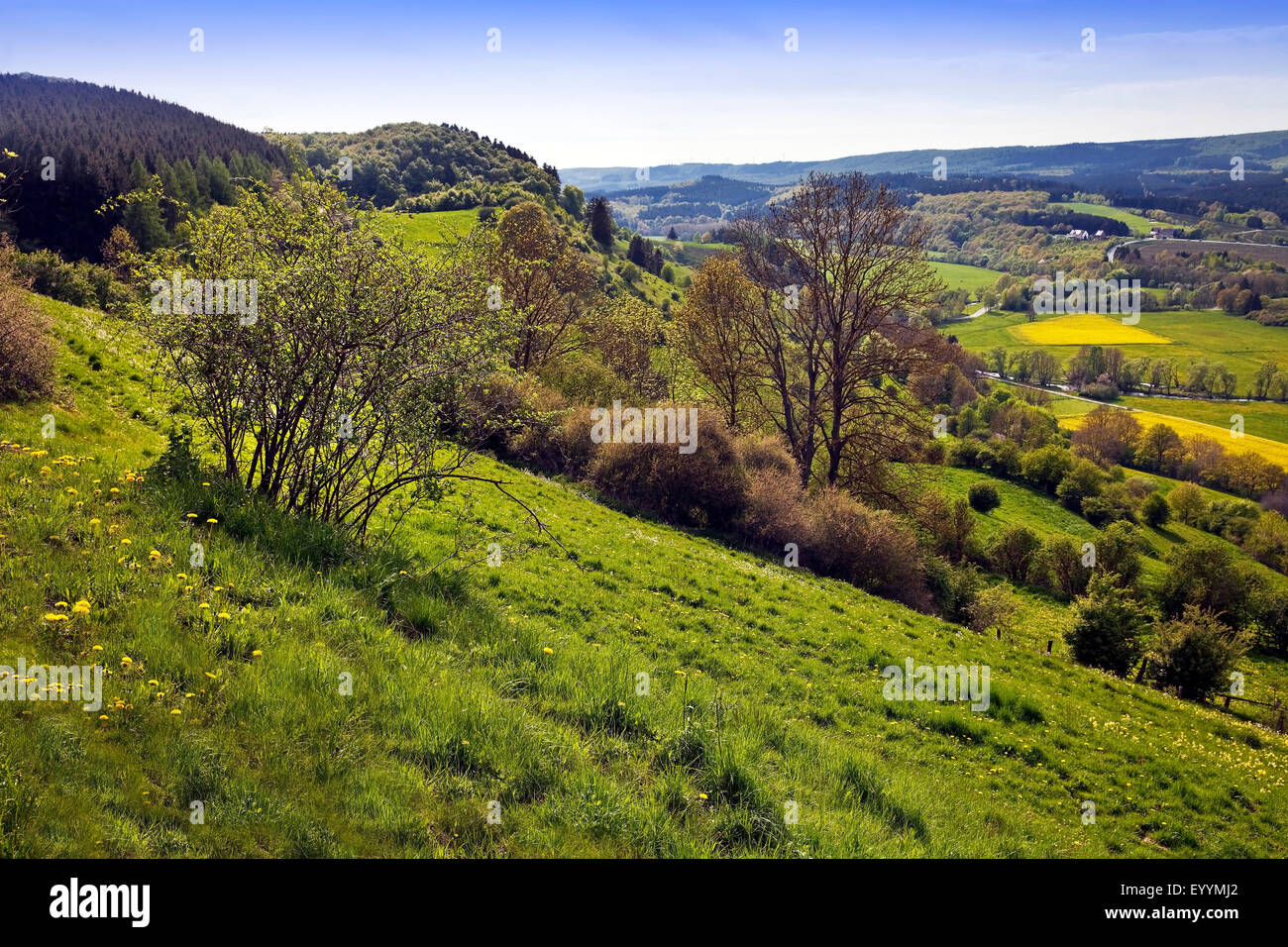 niedrige Berglandschaft in der Nähe von Marsberg im Frühjahr, Marsberg, Sauerland, Nordrhein-Westfalen, Deutschland Stockfoto