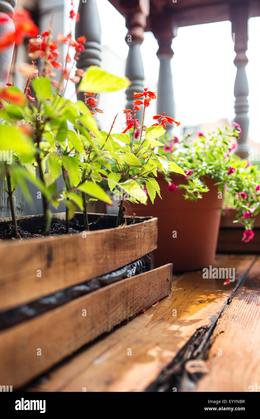 Blumen auf alte Holzterrasse Stockfoto