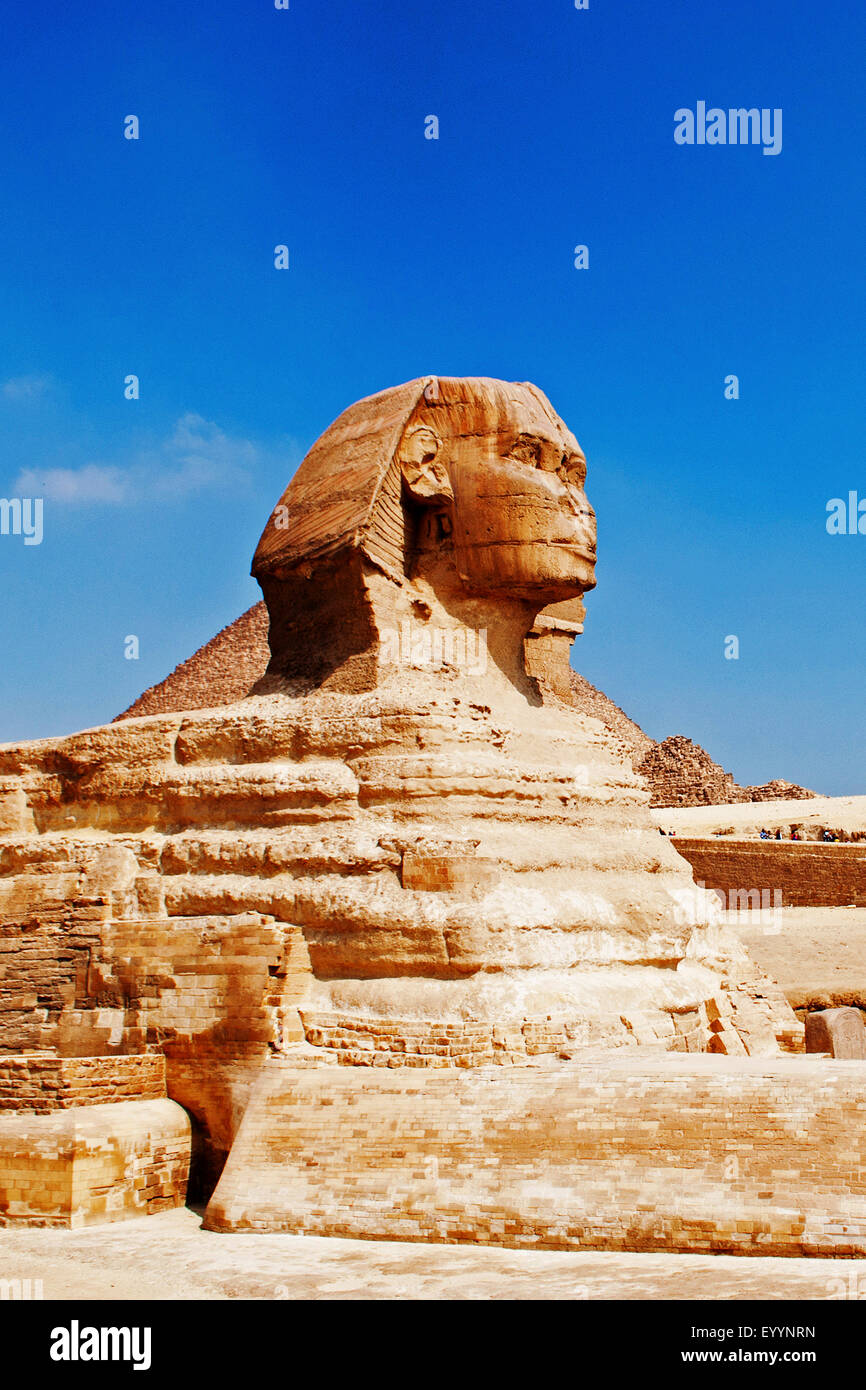 Große Sphinx von Gizeh, Ägypten, Gizeh Stockfoto