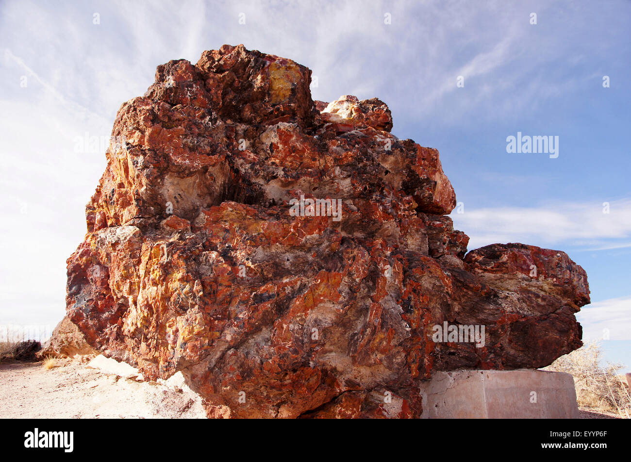 versteinerte Log in Wüste, USA, Arizona, Petrified Forest National Park Stockfoto