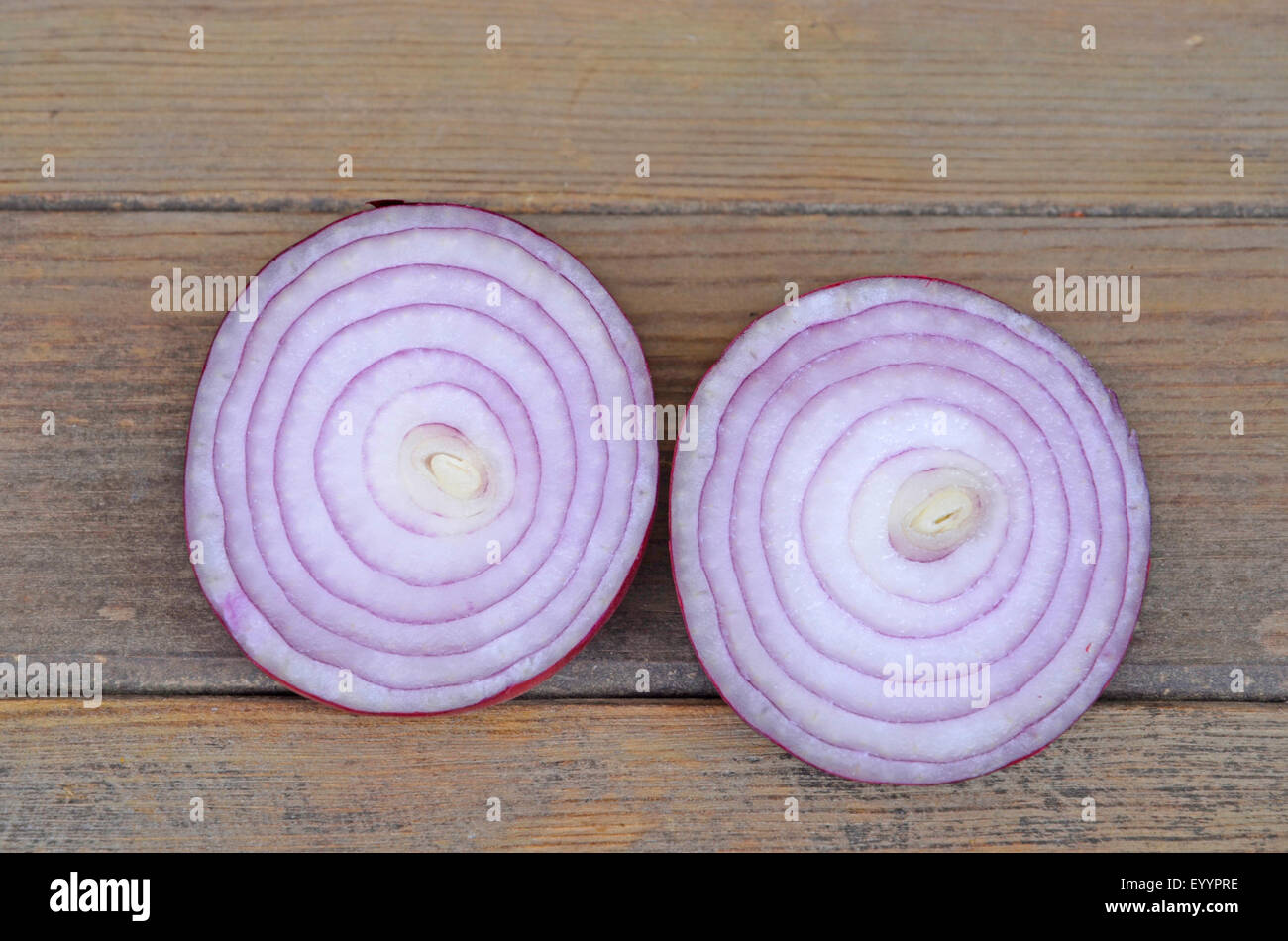 Garten-Zwiebel, Birne Zwiebel, gemeinsame Zwiebel (Allium Cepa), frischen roten Zwiebeln Querschnitt Stockfoto