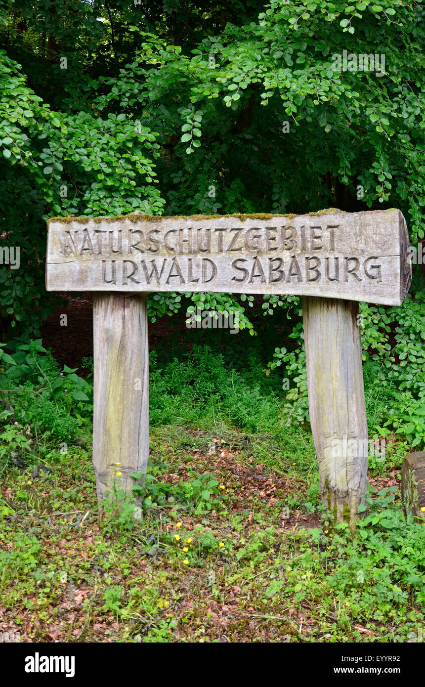 hölzerne Naturschutzgebiet unterzeichnen alten Wald der Sababurg, Deutschland, Hessen, Reinhardswald Stockfoto