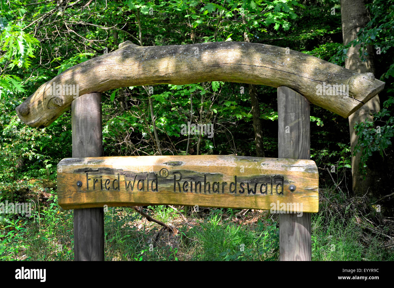 Holzschild "Friedewald", ein Wald als natürliche Friedhof, Deutschland, Hessen, Reinhardswald Stockfoto