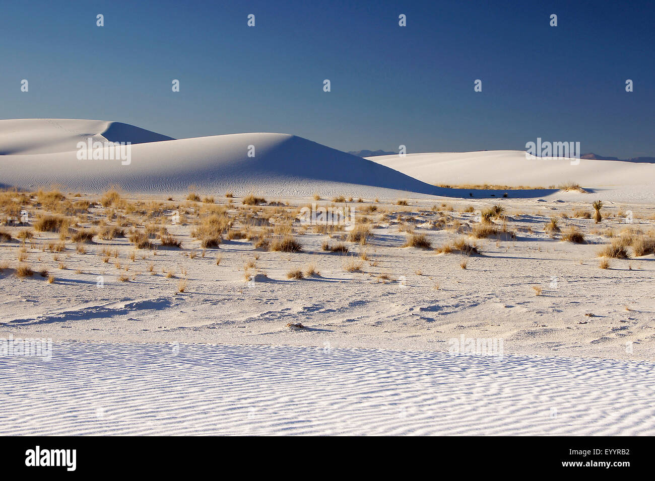 Wüsten Sie-Landschaft auf der White Sands National Monument, New Mexico, USA, White Sands National Monument Stockfoto