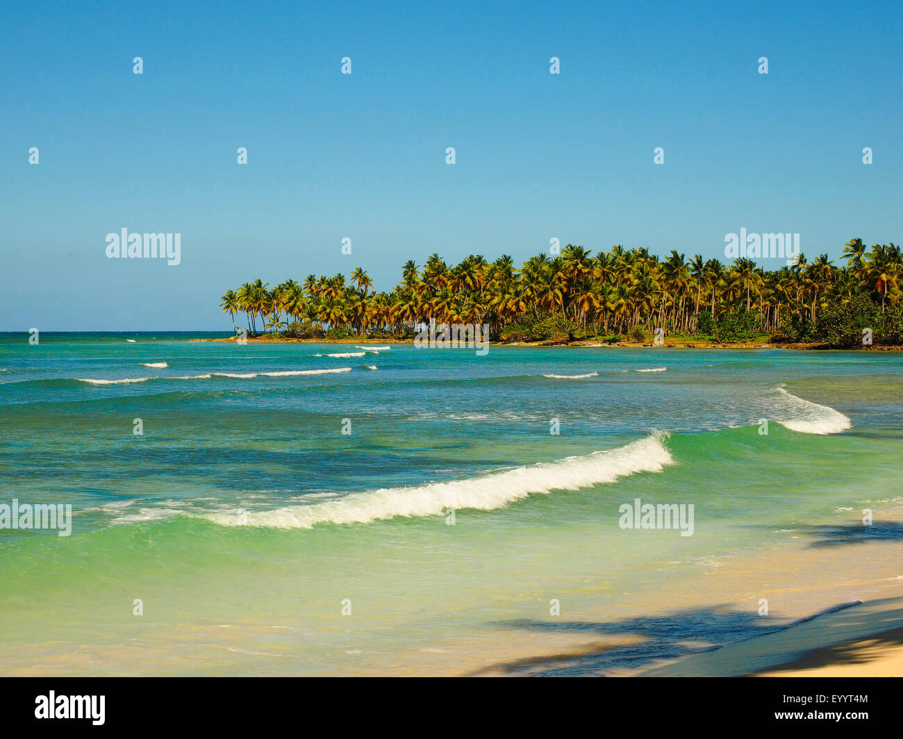 Bucht von Samana, Las Galeras, Dominikanische Republik, Samana Stockfoto