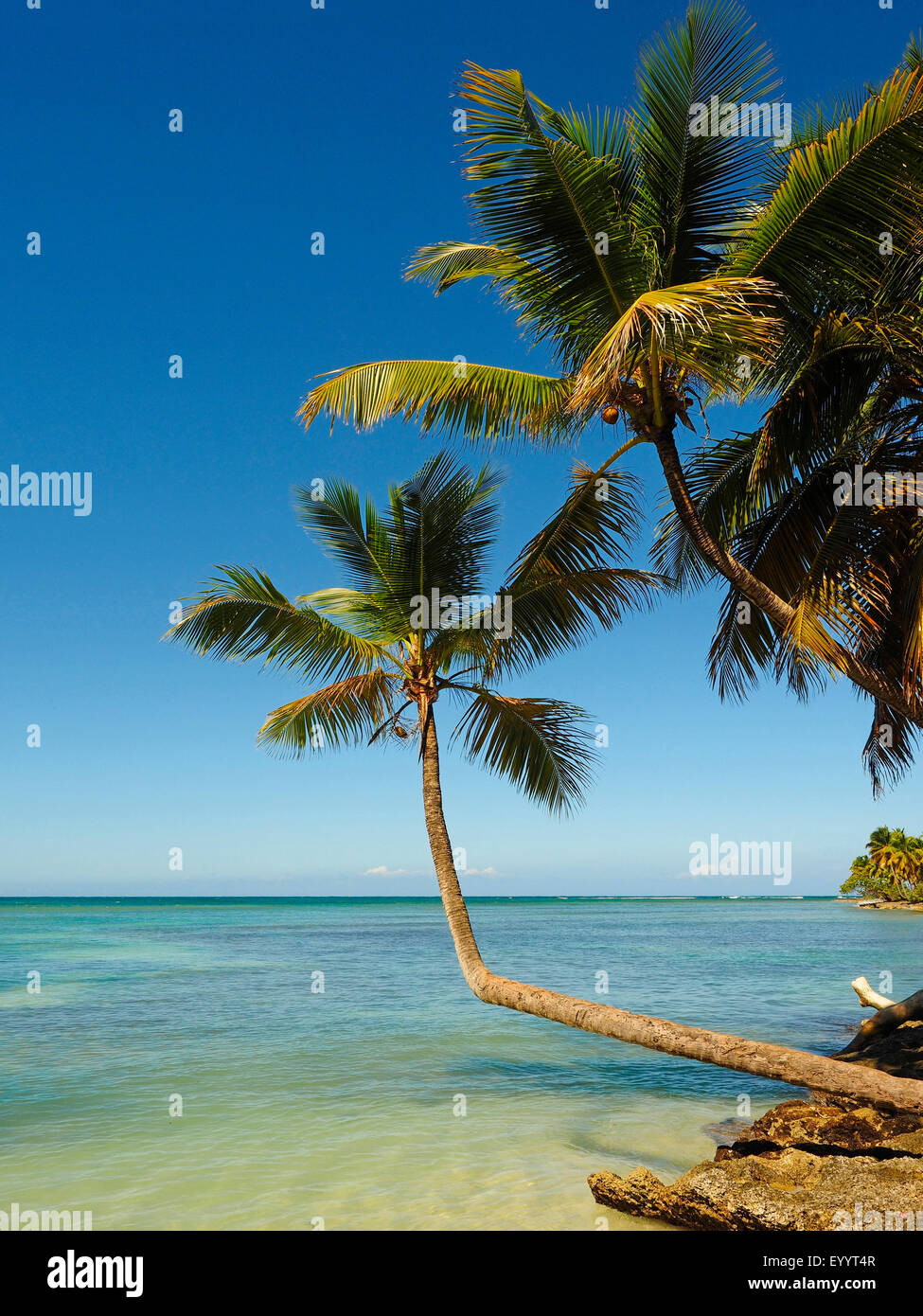 Bucht von Samana, Las Galeras, Dominikanische Republik, Samana Stockfoto