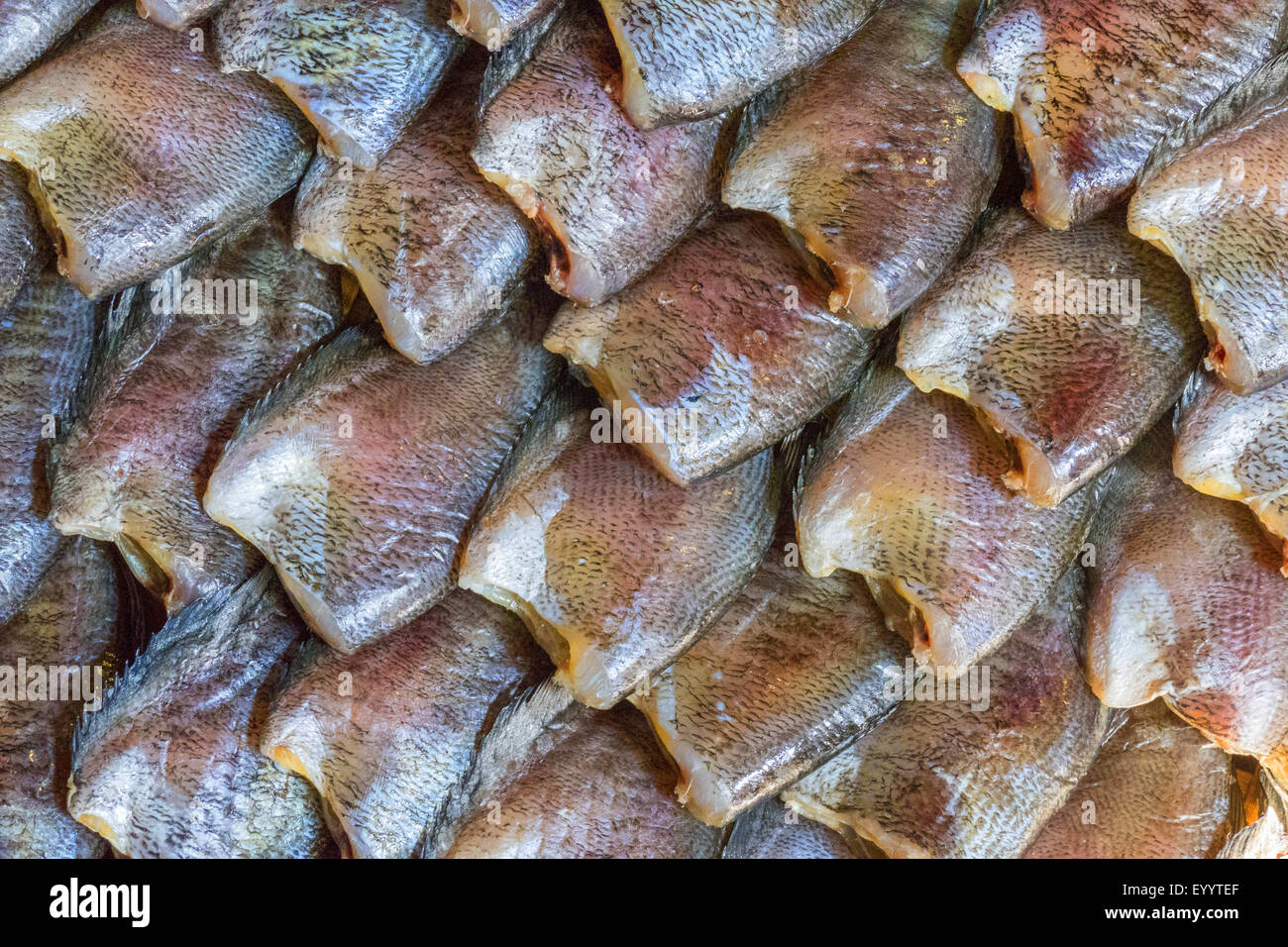 frische Fische auf dem Talad Rom Hoob Market in der Nähe von Bangkok, Thailand Stockfoto
