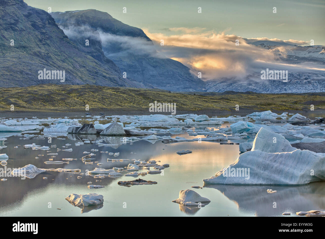 Joekulsarlon Gletschersee mit Eis, Island, Austurland, Knappavellir Stockfoto