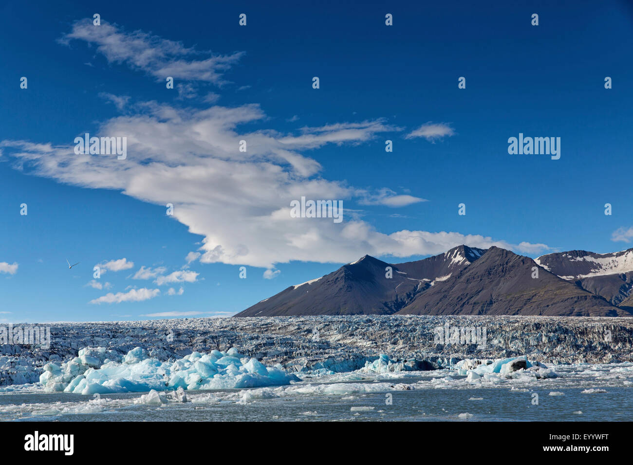 Joekulsarlon Gletschersee und Vatnajoekull Gletscher, Island, Austurland, Kalfafellsstadur Stockfoto