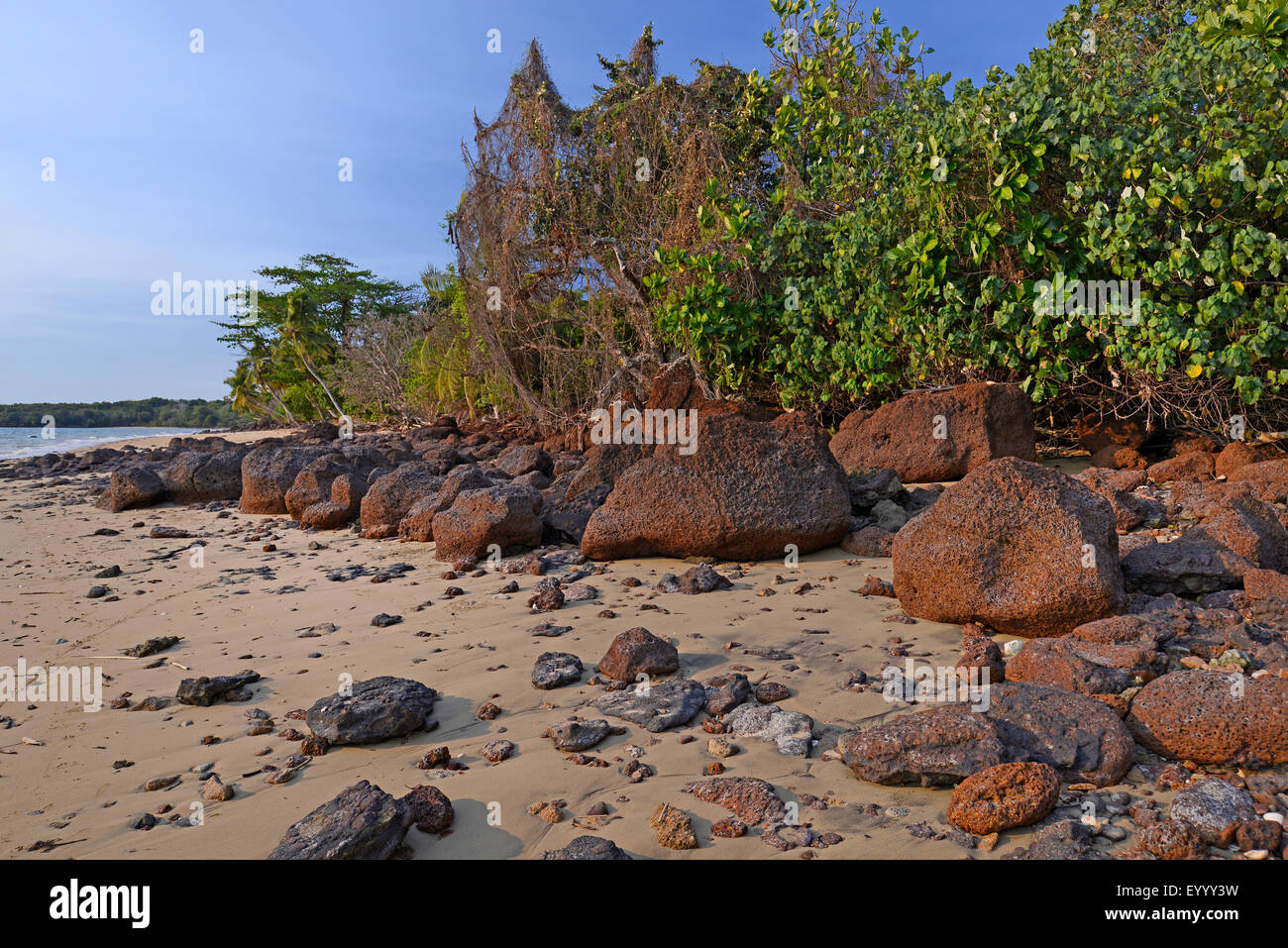 Strand mit Lava Felsen auf der Insel Nosy Faly, Madagaskar, Nosy Faly, Isla Faly Stockfoto