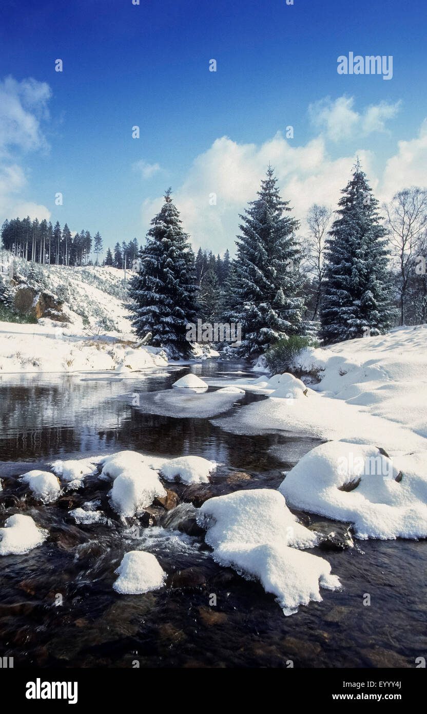 Fluss-Landschaft im Winter, Deutschland, Nordrhein-Westfalen, Eifel Stockfoto