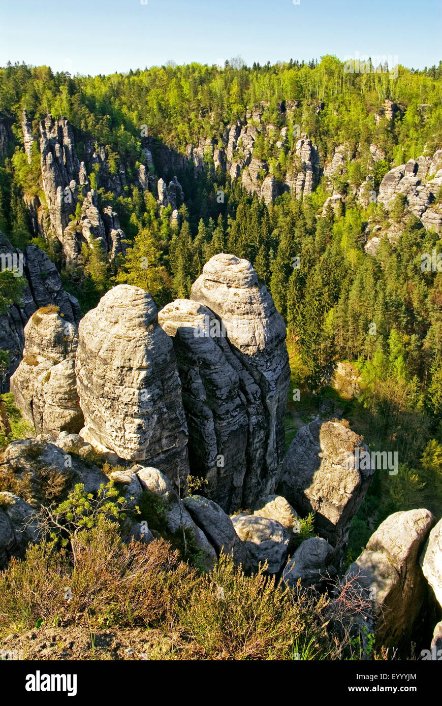 Felsformationen des Elbsandsteingebirges, Deutschland, Sachsen, Nationalpark Sächsische Schweiz Stockfoto