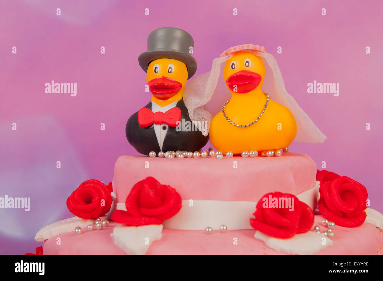 Hochzeit enten Fotos und Bildmaterial in hoher Auflösung Alamy