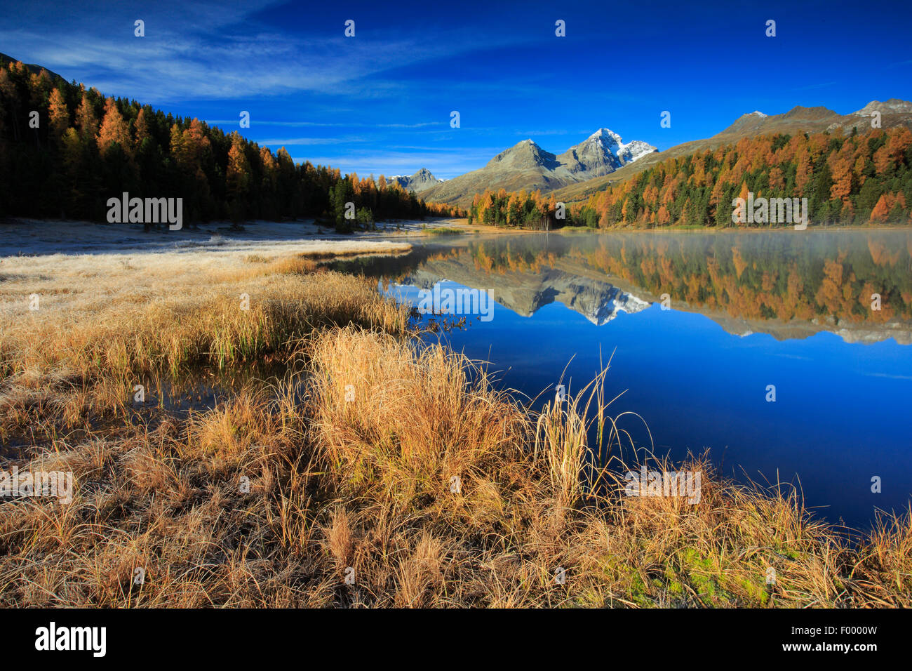 Lej da Staz, Schweiz, Graubünden, Oberengadin Stockfoto