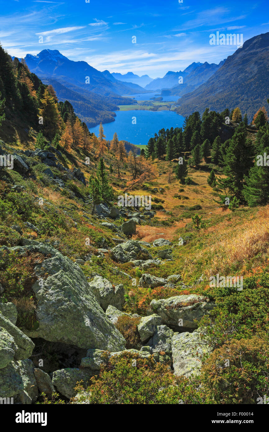Silvaplaner See und See Silsersee, Schweiz, Graubünden, Oberengadin Stockfoto