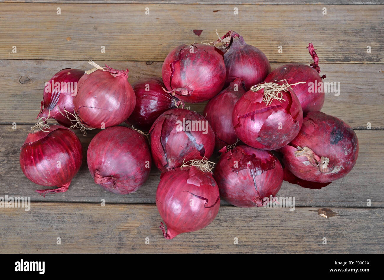 Garten-Zwiebel, Birne Zwiebel, gemeinsame Zwiebel (Allium Cepa), rote Zwiebeln Stockfoto