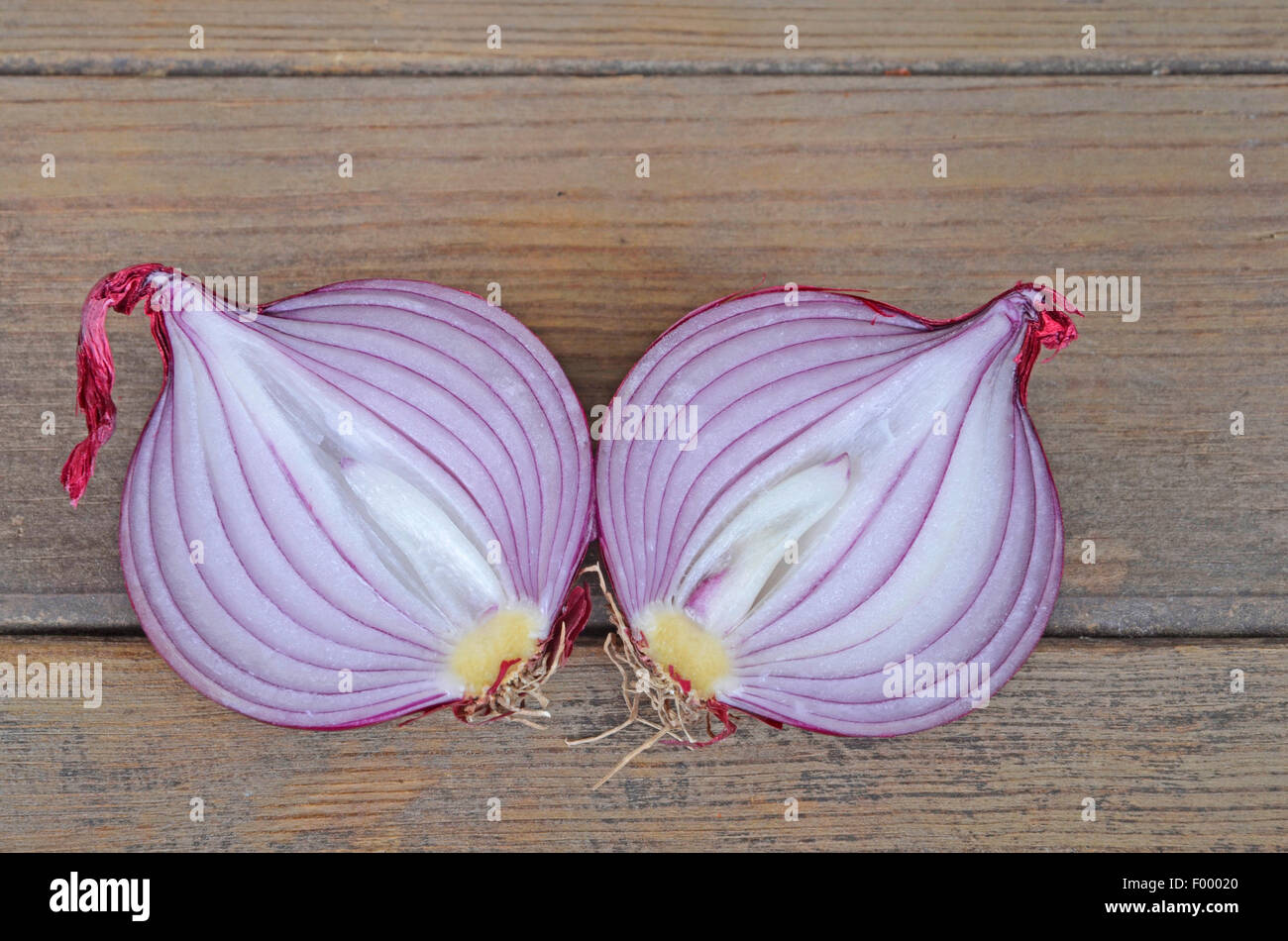 Garten-Zwiebel, Birne Zwiebel, gemeinsame Zwiebel (Allium Cepa), frischen roten Zwiebeln längs geschnitten Stockfoto