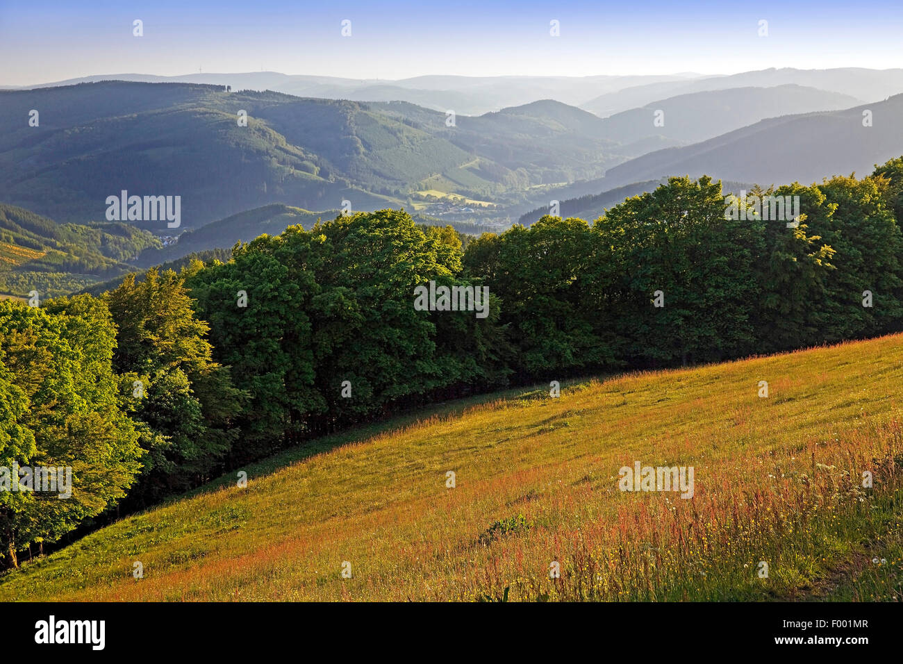 Aussichtspunkt über die Landschaft in der Nähe von Wildewiese, Deutschland, Nordrhein-Westfalen, Sauerland, Sundern Stockfoto