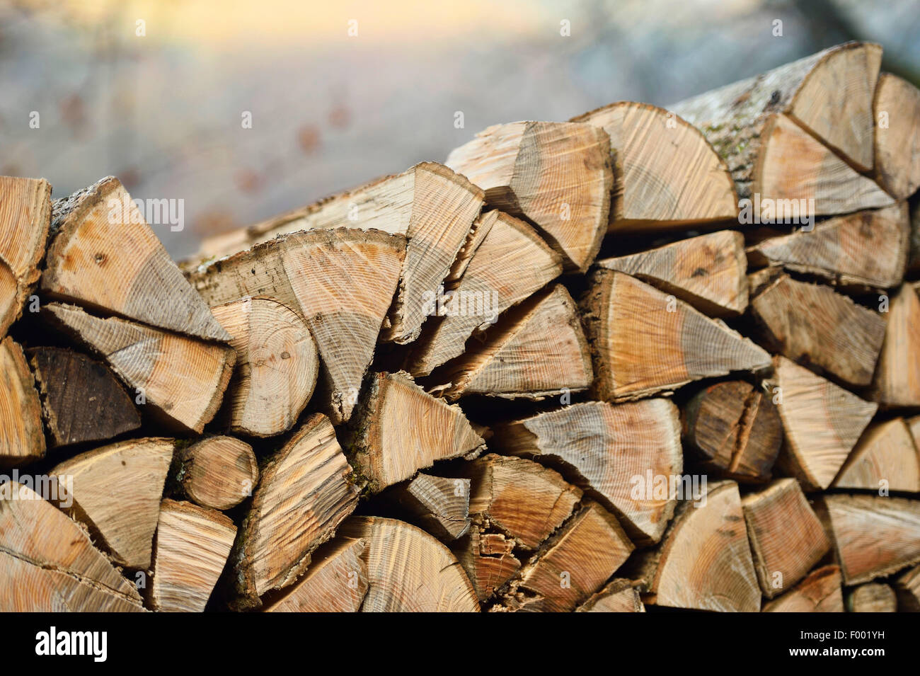 Billet aus Holz, Österreich Stockfoto