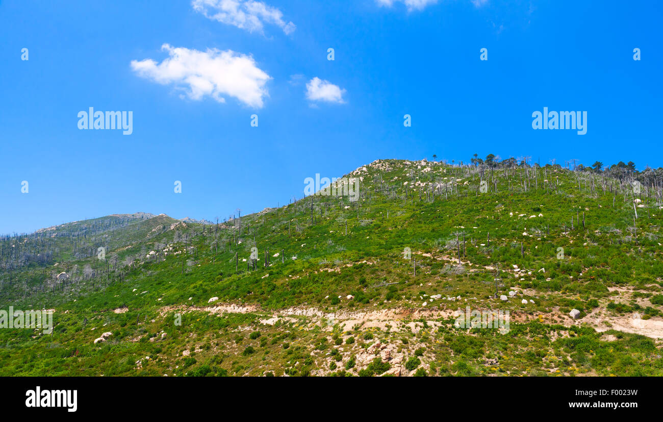 Grüne Berge und bewölktem Himmel auf einem Hintergrund. Südlich von Korsika, Frankreich, Naturlandschaft Stockfoto