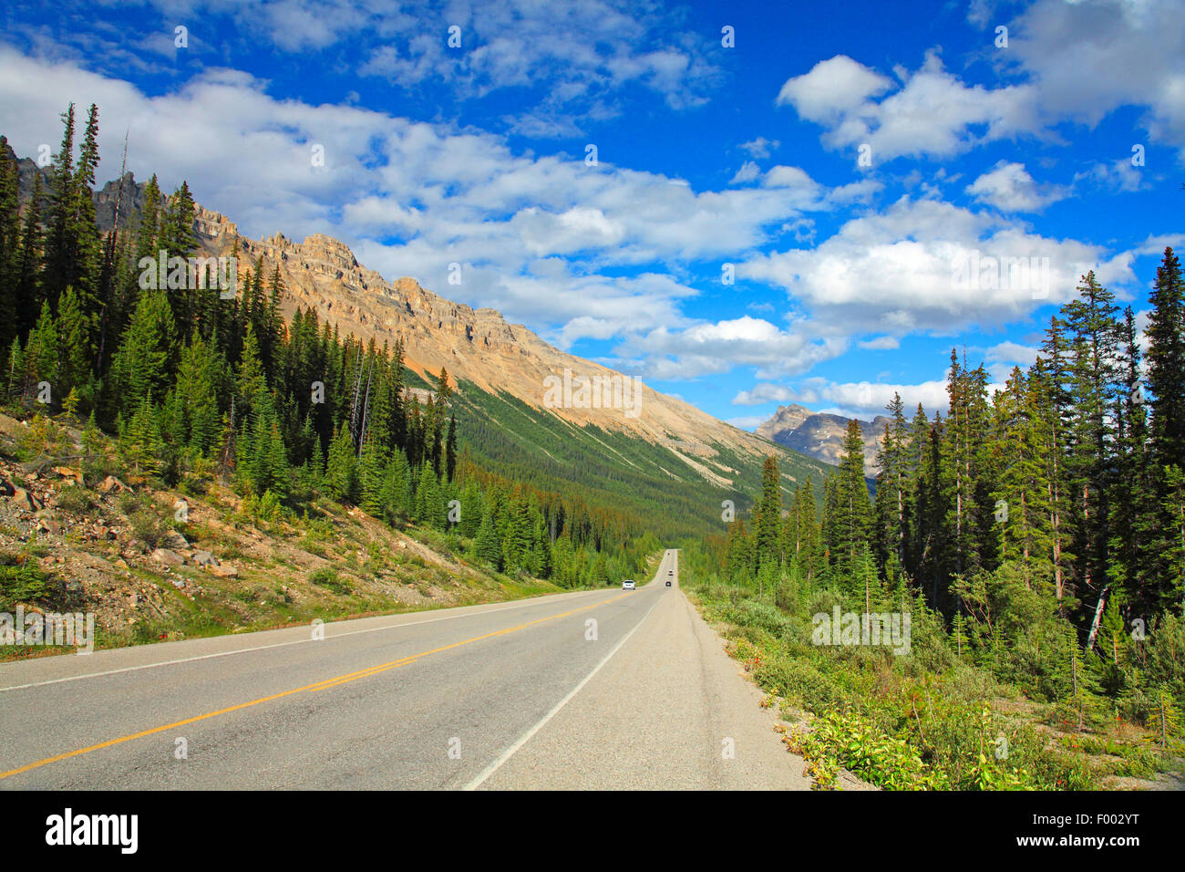 Icefields Parkway in der Nähe von Bow Pass, Highway durch Banff Nationalpark, Banff Nationalpark, Alberta, Kanada Stockfoto