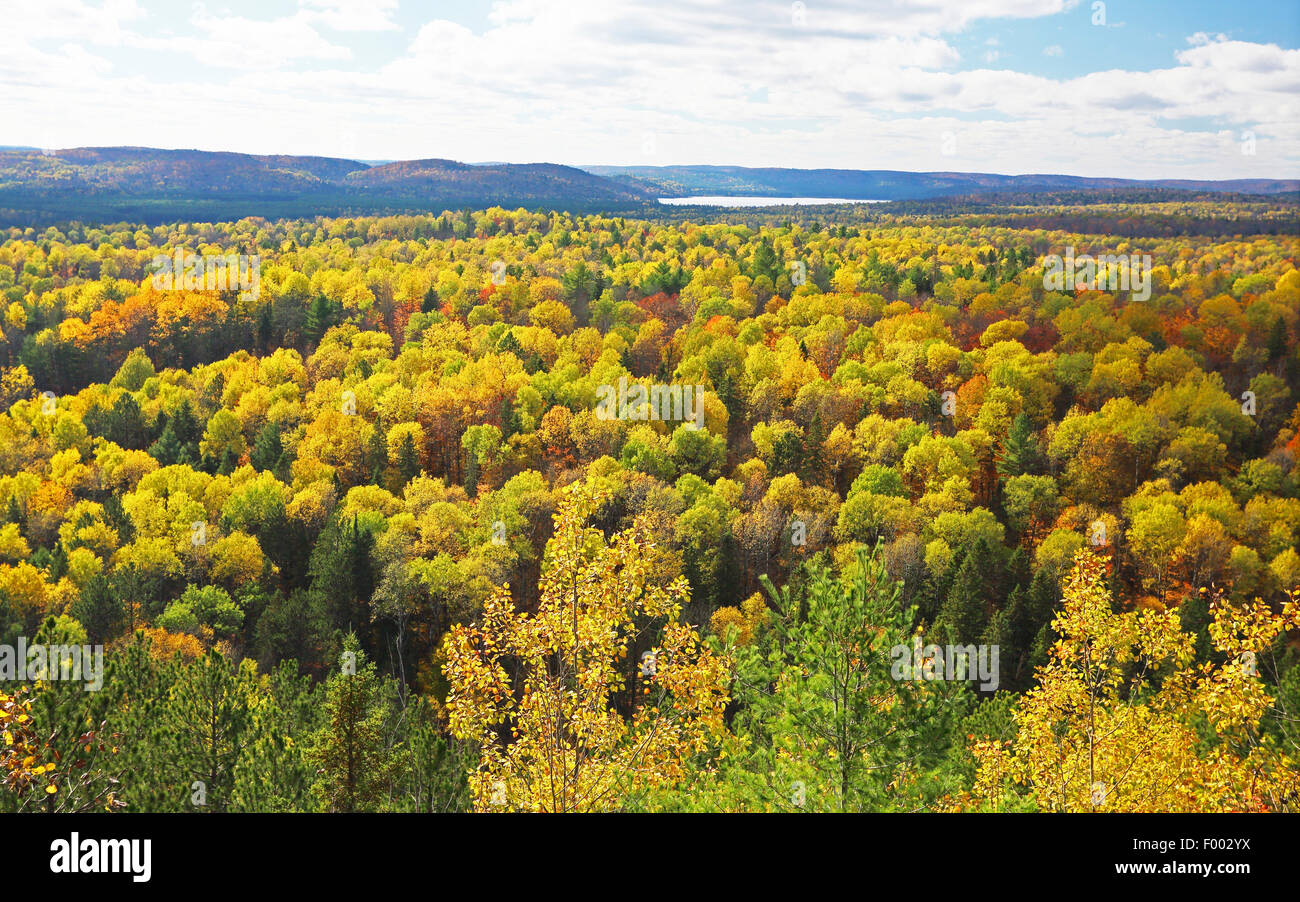 Indian Summer im Algonquin Provincial Park, Kanada, Ontario, Algonquin Provincial Park Stockfoto