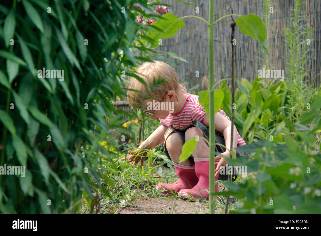 kleine Mädchen spielen in einem Garten Patch, Deutschland Stockfoto