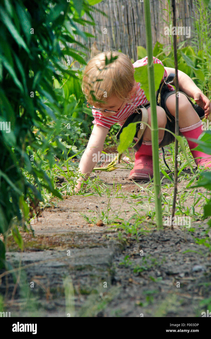 kleine Mädchen spielen in ein Gartengrundstück, Deutschland Stockfoto