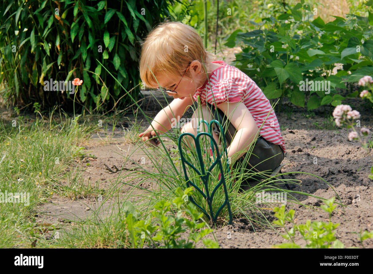 kleine Mädchen spielen in einem Garten Patch, Deutschland Stockfoto