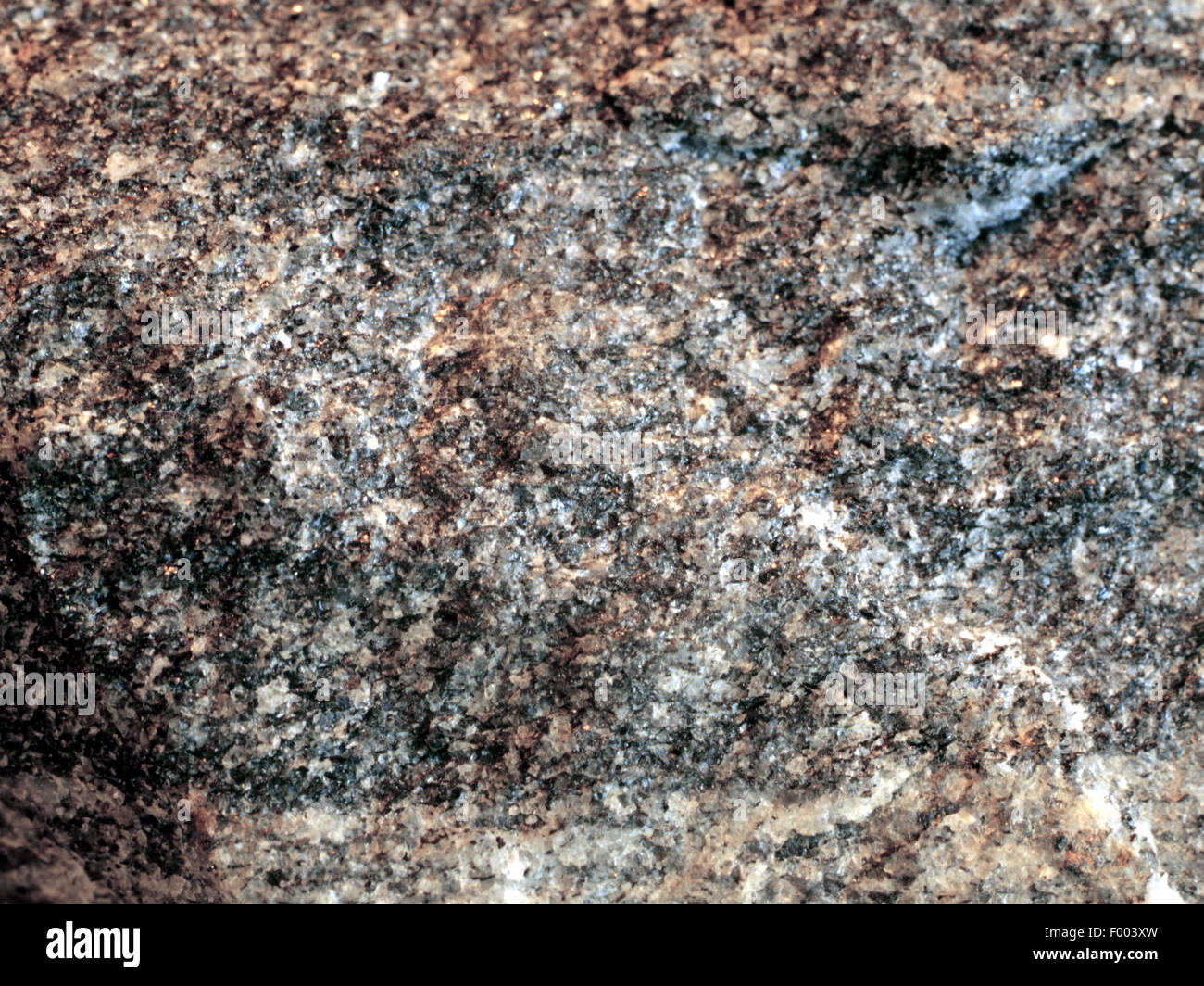 Tonalithic graue Gneis, Großbritannien, Schottland Stockfoto