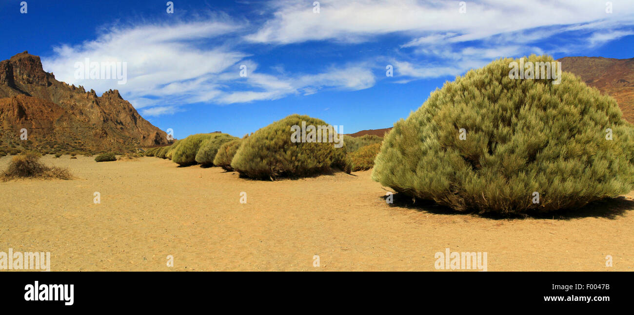 Wüste Vulkanlandschaft der Kanarischen Inseln, Teneriffa, Las Canadas, Teide-Nationalpark Stockfoto