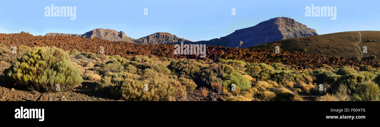 Vulkanlandschaft, Kanarischen Inseln, Teneriffa, Teide-Nationalpark Stockfoto
