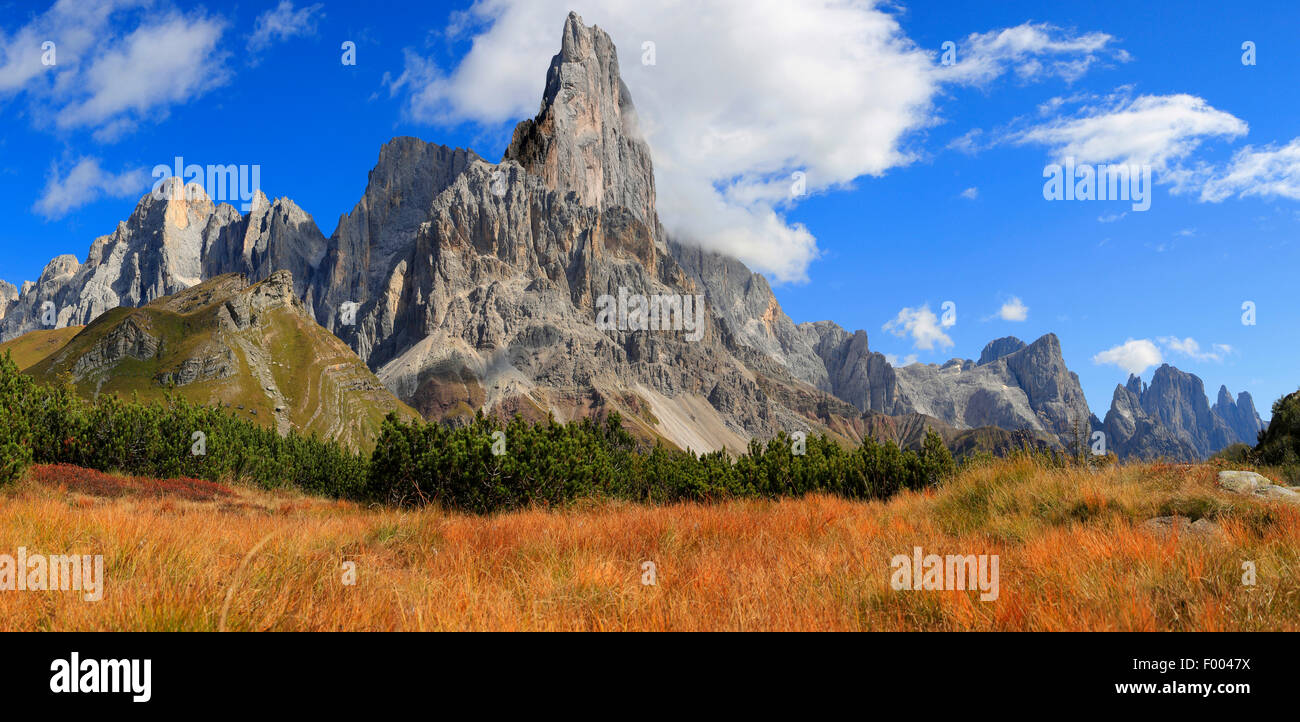 Passo di Rolle im Herbst, Italien, Südtirol, Dolomiten, Trentino Stockfoto