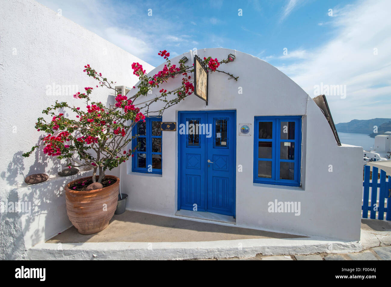 Papierfabrik, Four-o'clock (Bougainvillea spec.), kleine weiße Haus mit blauen Fenstern und Tür, Topf mit einem Four-o'clock Griechenland, Cyclades, Santorin Stockfoto