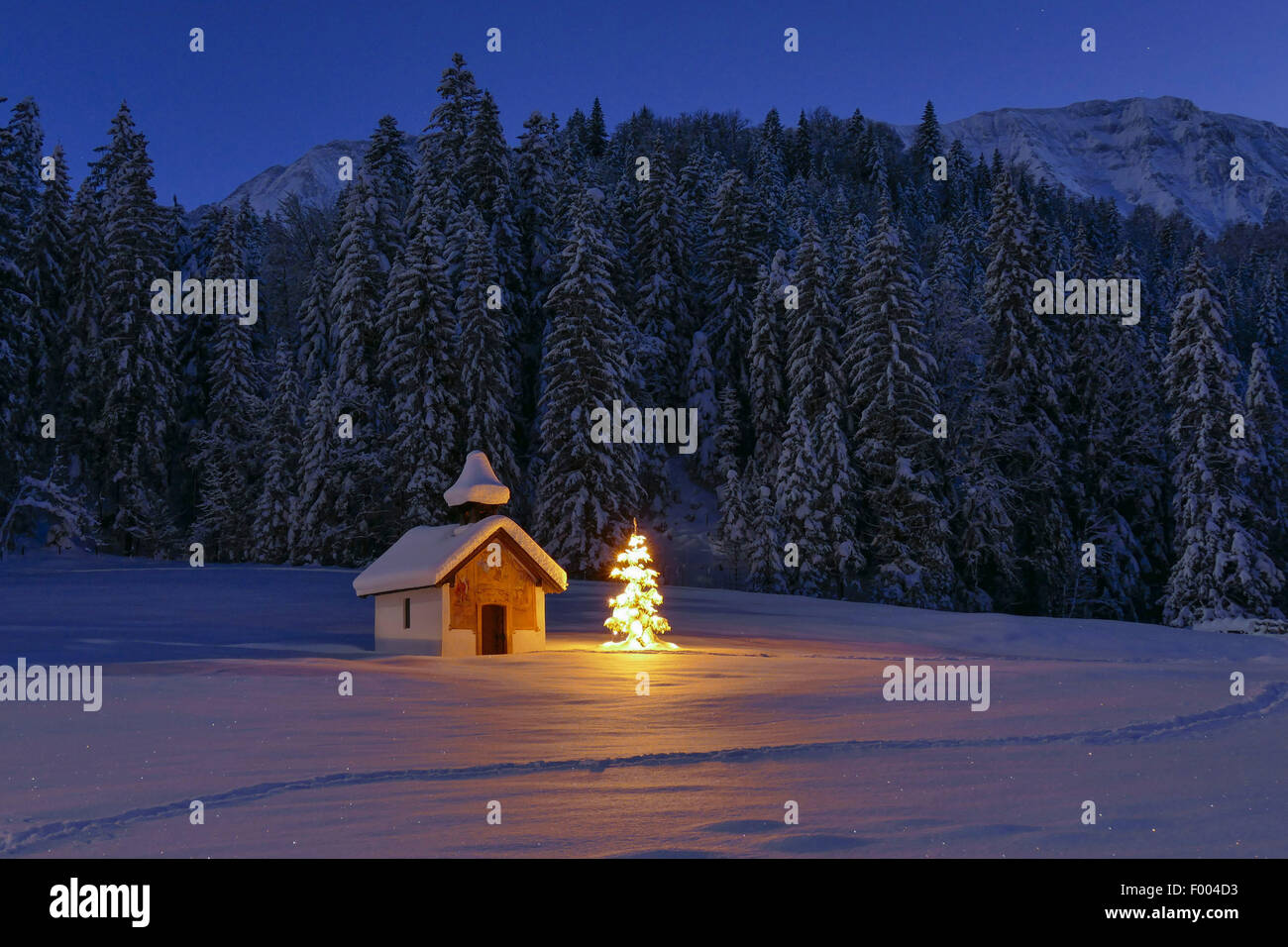 beleuchtete Weihnachtsbaum vor einer Kapelle in Schneelandschaft, Oberbayern, Oberbayern, Bayern, Deutschland Stockfoto