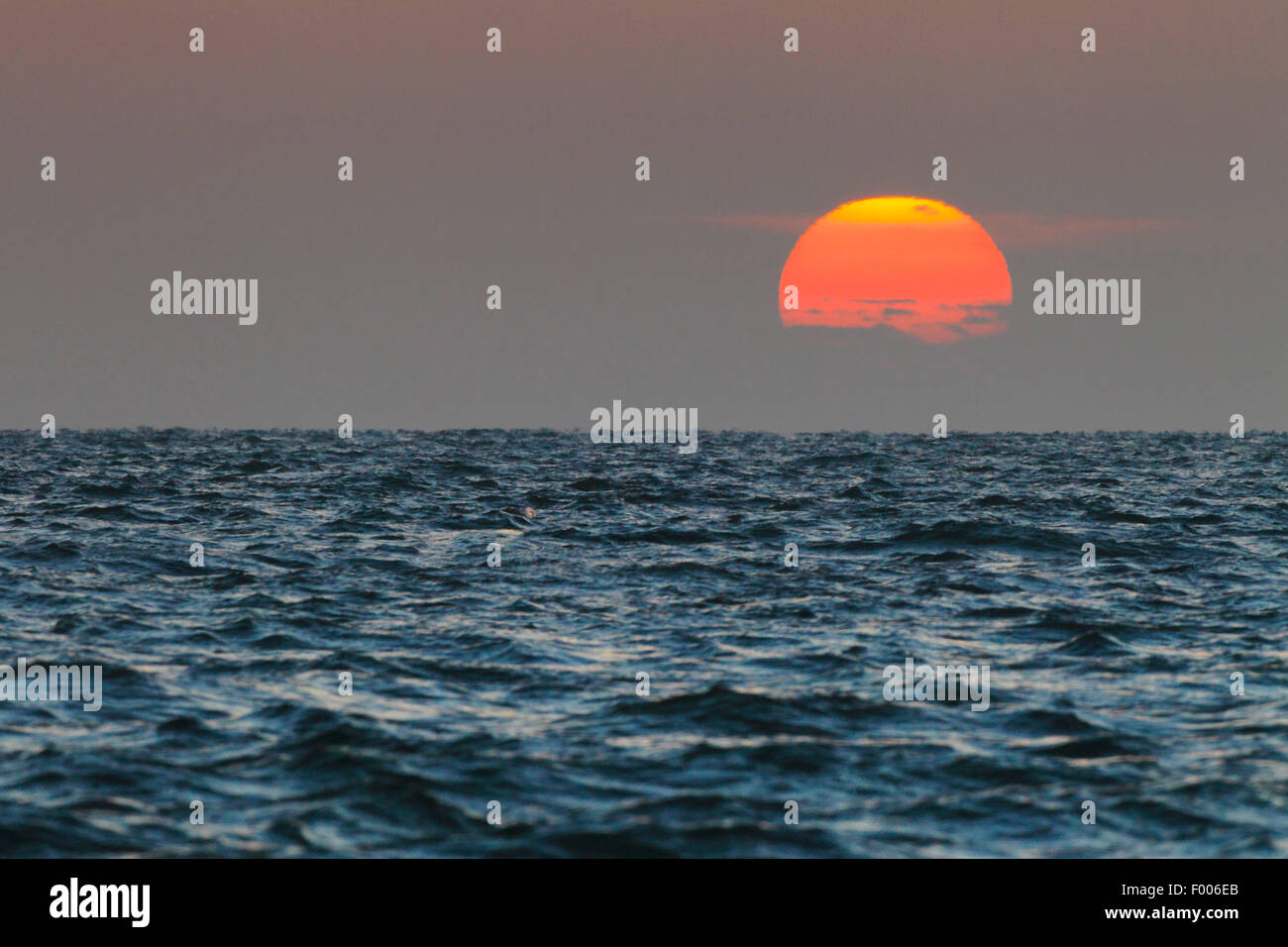 Sonnenaufgang über der Nordsee, Deutschland, Schleswig-Holstein, Helgoland Stockfoto