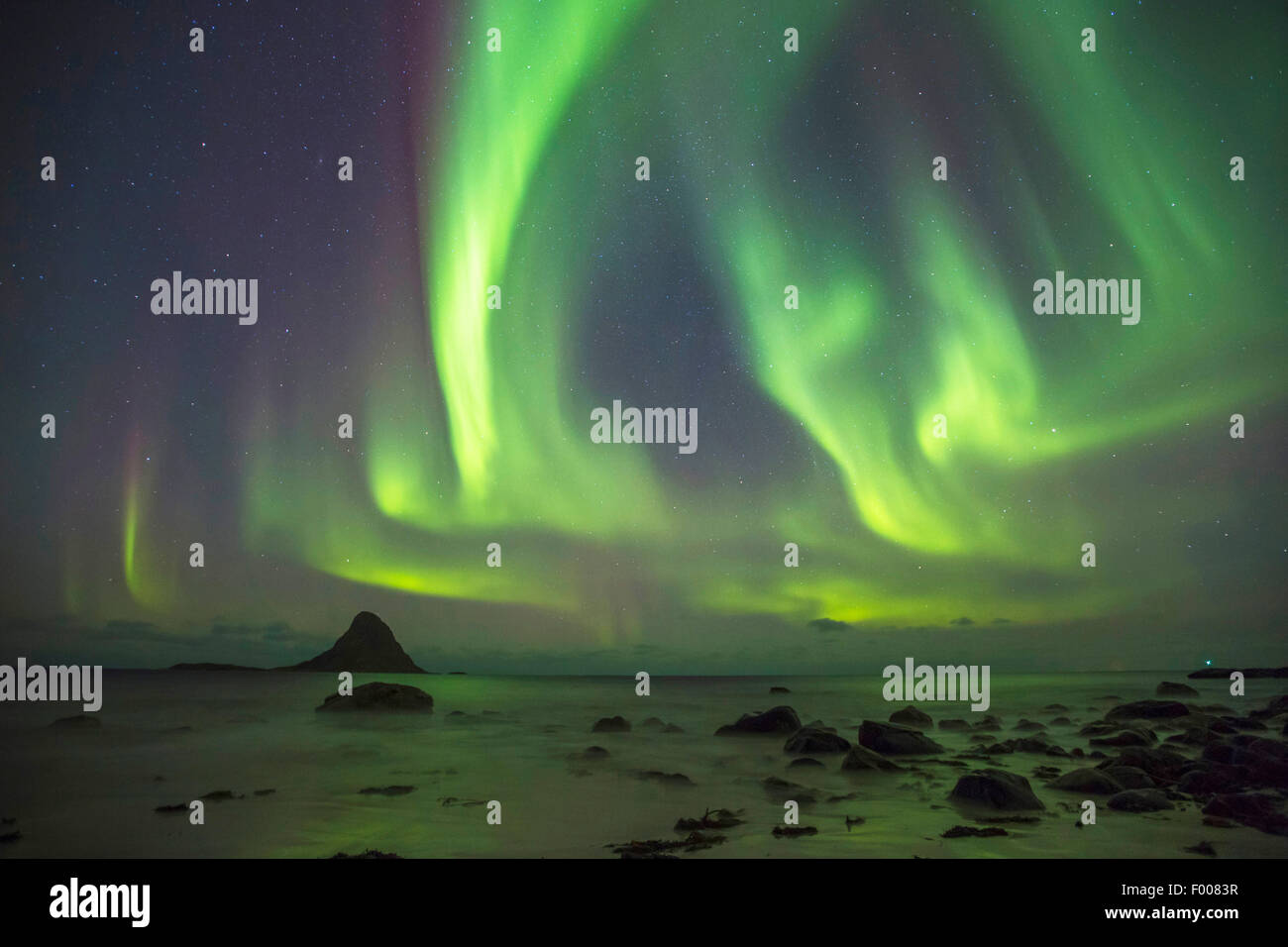 Polarlichter Bleiks°ya, Bleikstranda Strand im Vordergrund, Norwegen, VesterÕlen und° ya, Bleik Stockfoto