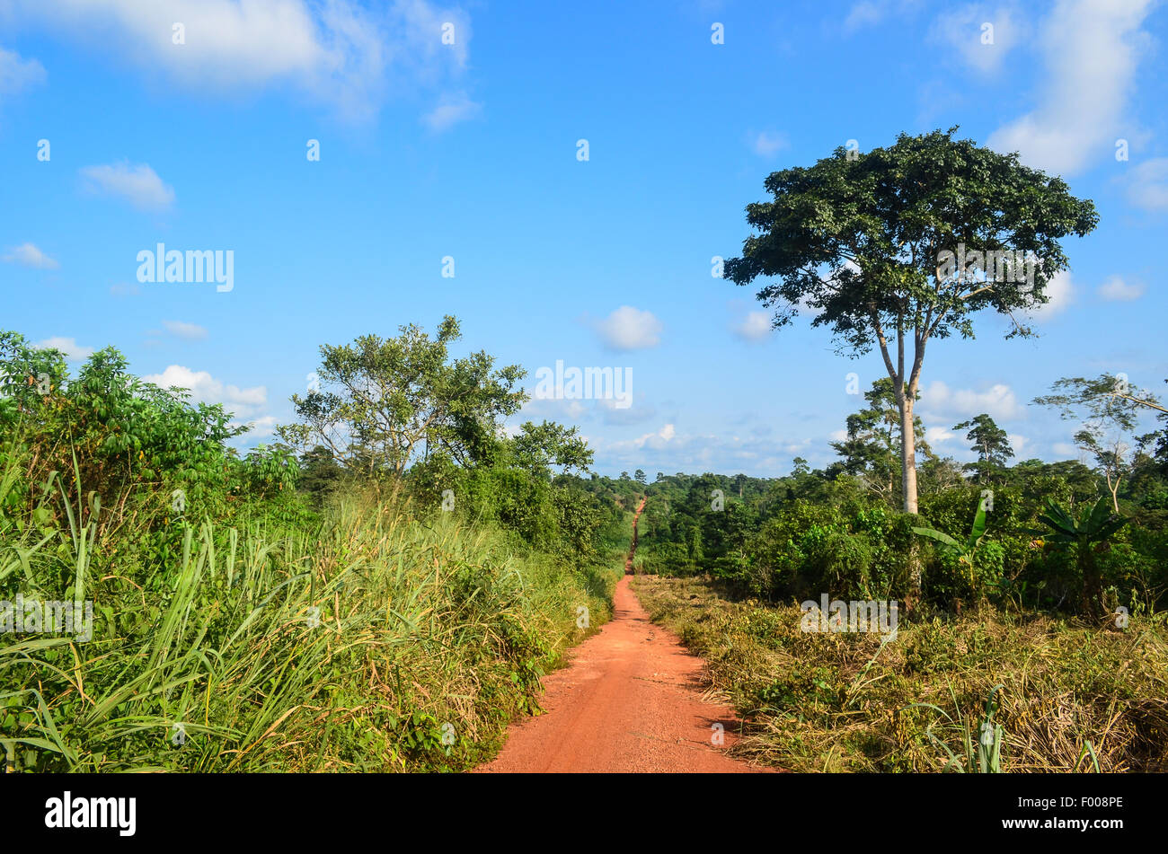 Feldweg in der ghanaischen Landschaft Stockfoto