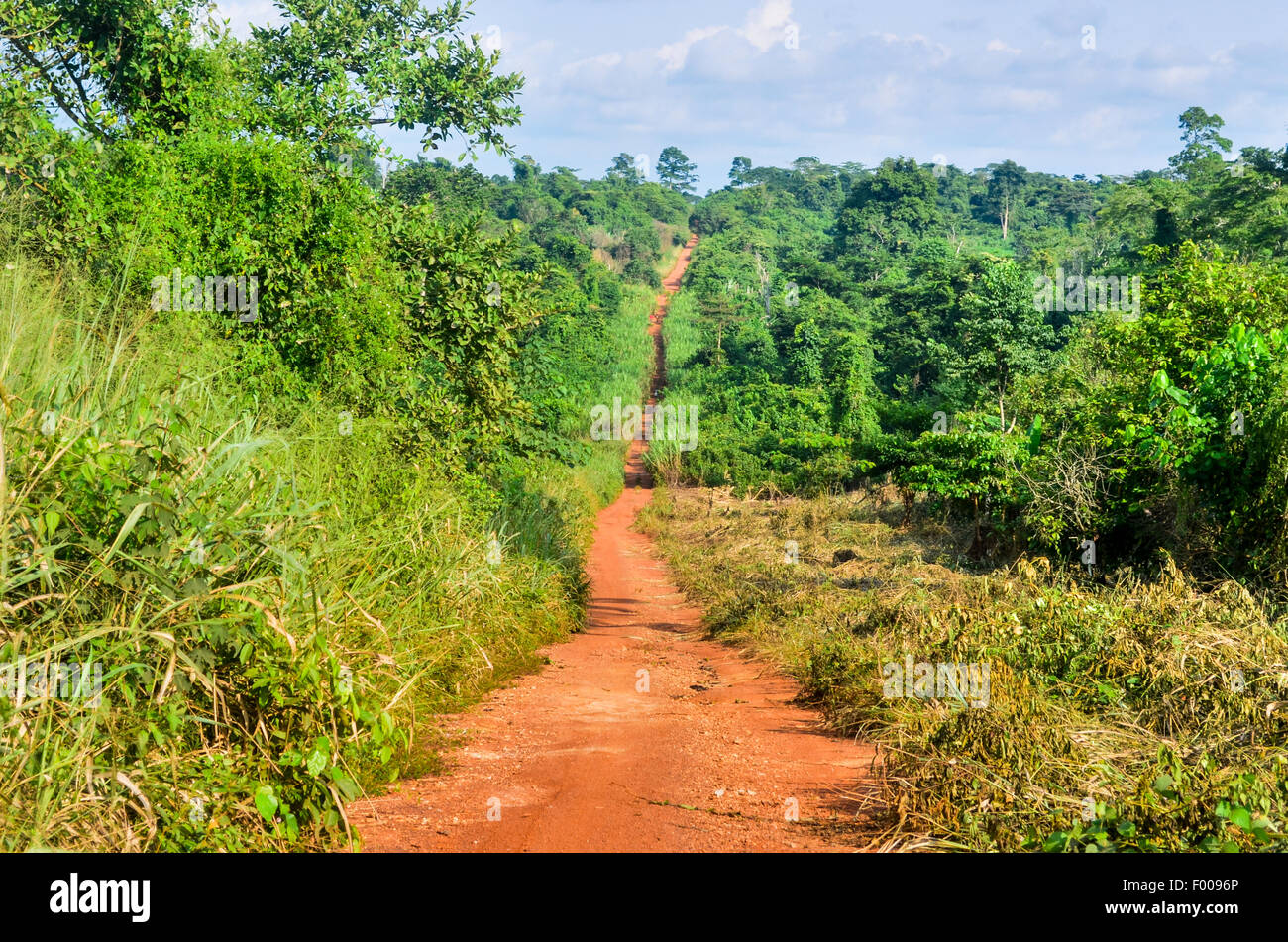 Feldweg in der ghanaischen Landschaft Stockfoto