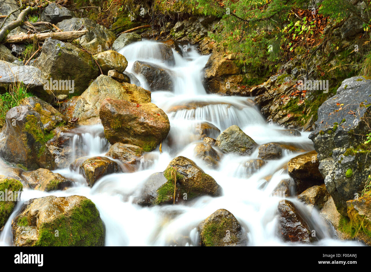 Rocky Mountain Creek in Herbst, Österreich, Tirol Stockfoto