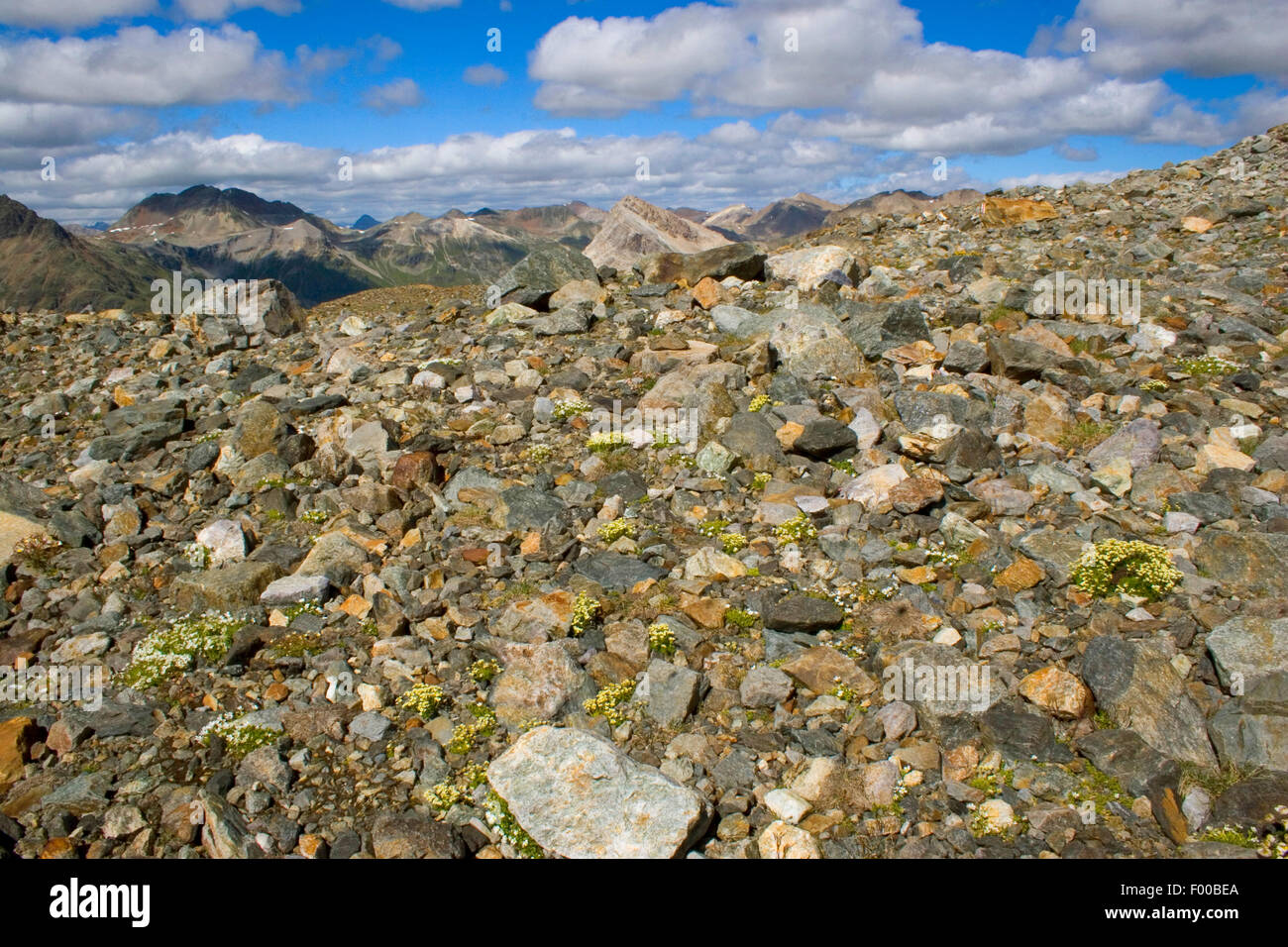 Bernina group Fotos und Bildmaterial in hoher Auflösung Alamy