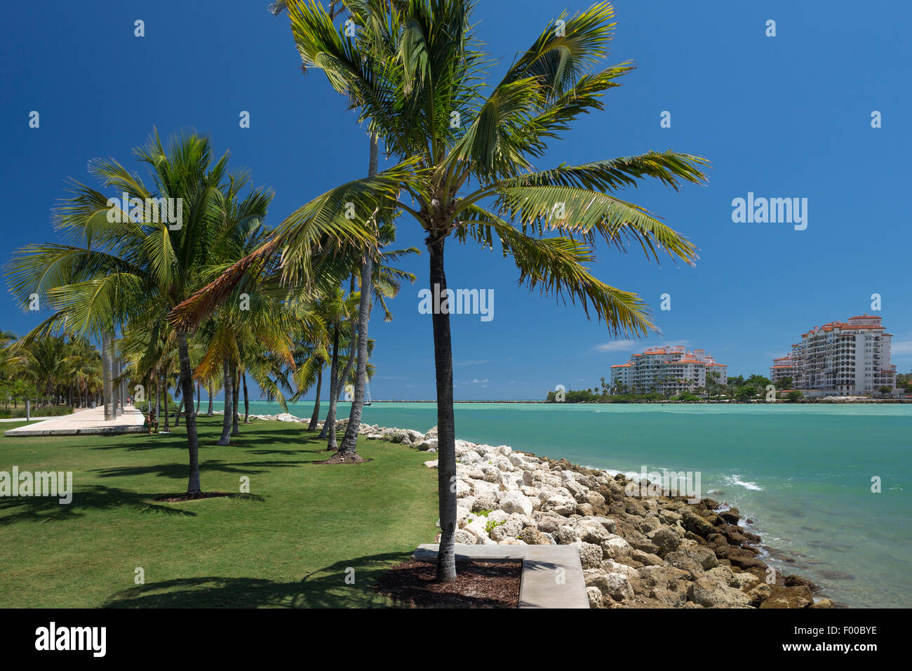 MIAMI BEACH FLORIDA USA FÜR PALM BÄUME SOUTH POINTE PARK Stockfoto