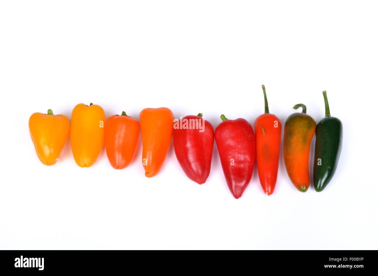 Rawit Chili (Capsicum Annuum Jalape o, Capsicum Annuum "Jalape o '), süße Paprika mit Chilis der Sorte Jalape o Stockfoto