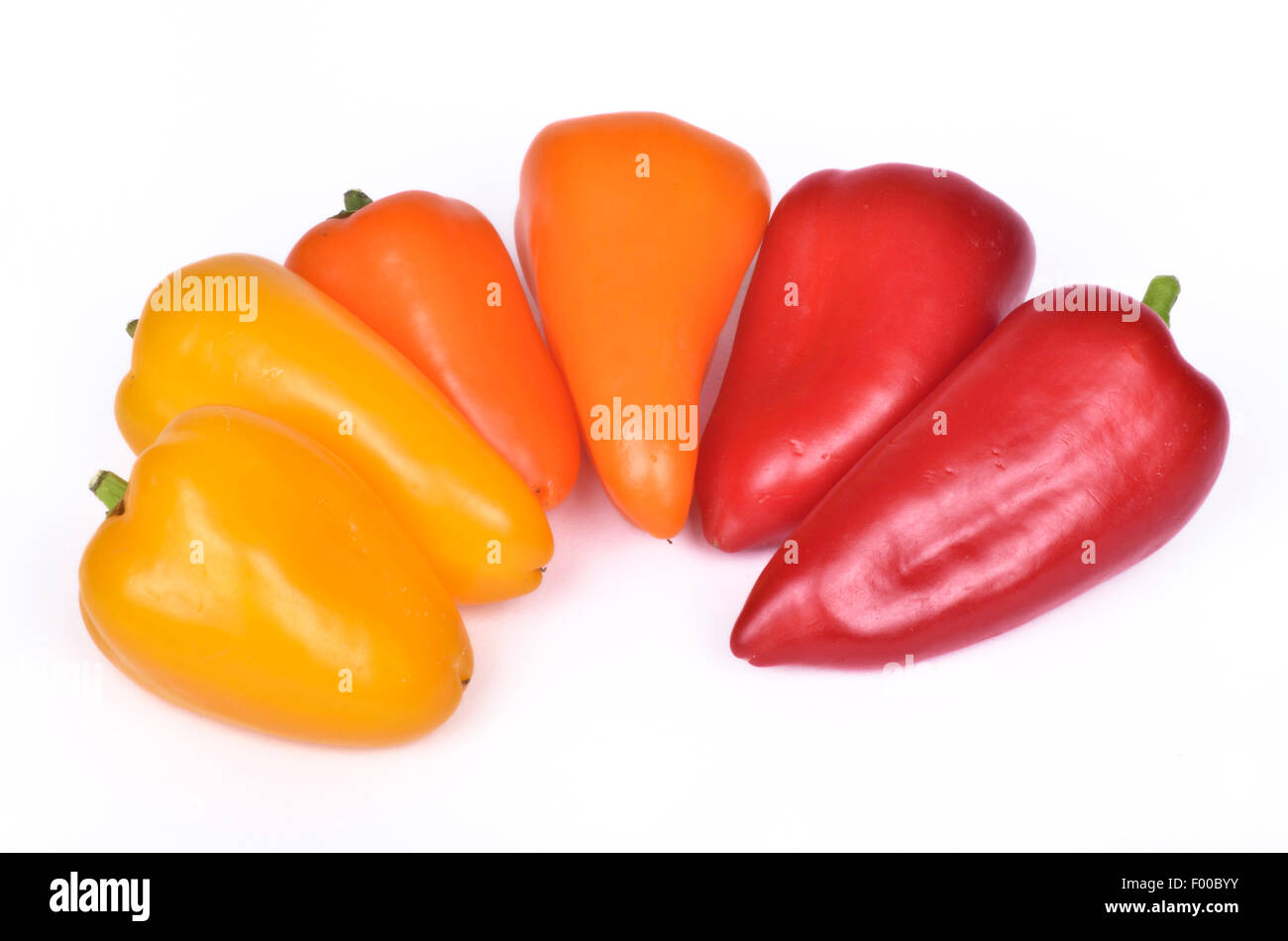 Chili-Pfeffer, Paprika (Capsicum Annuum), süße rote paprika Stockfoto