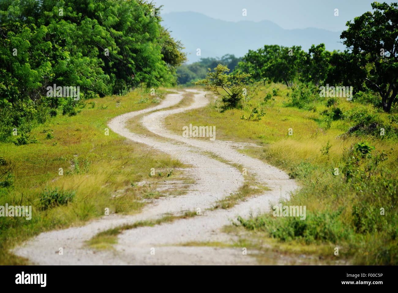 Landstraße führt zu hohen Gipfeln im Hintergrund in der Landschaft von Panama Stockfoto