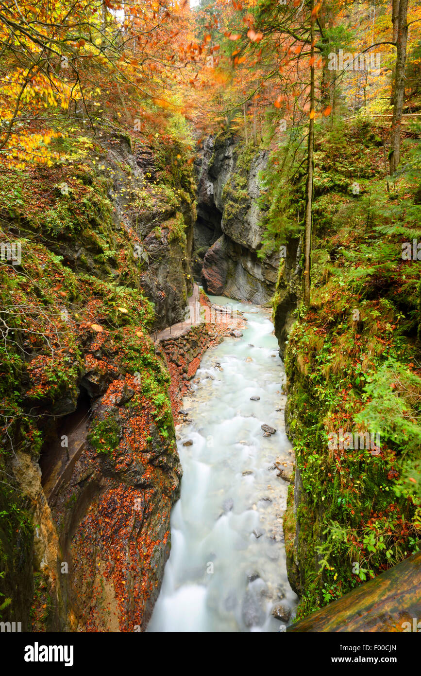 Partnachklamm in Herbst, Deutschland, Bayern, Garmisch-Partenkirchen Stockfoto