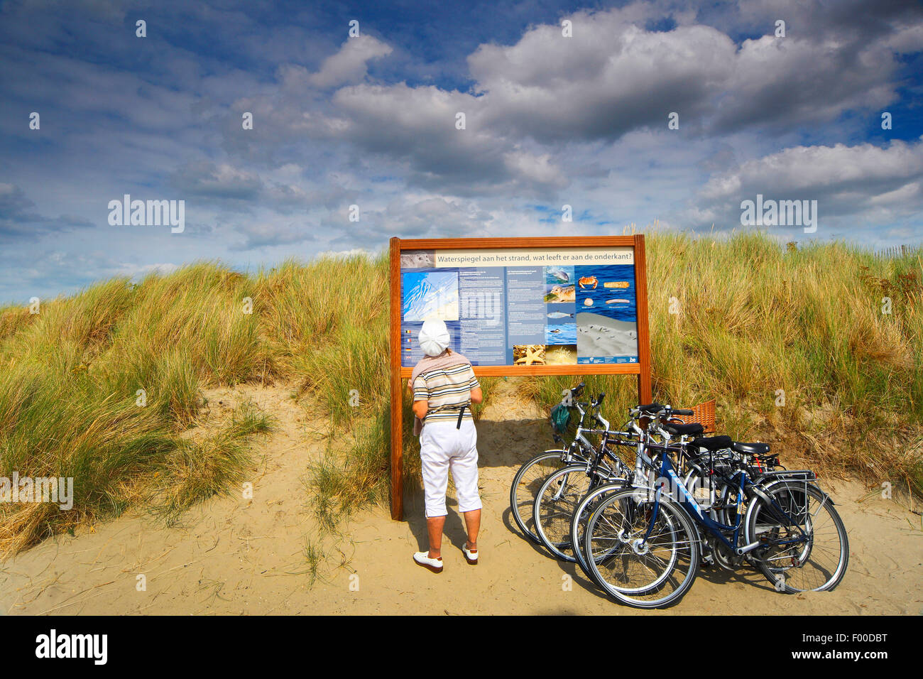 Touristen auf der Suche im Bedienfeld "Info" an der Küste, Belgien Stockfoto