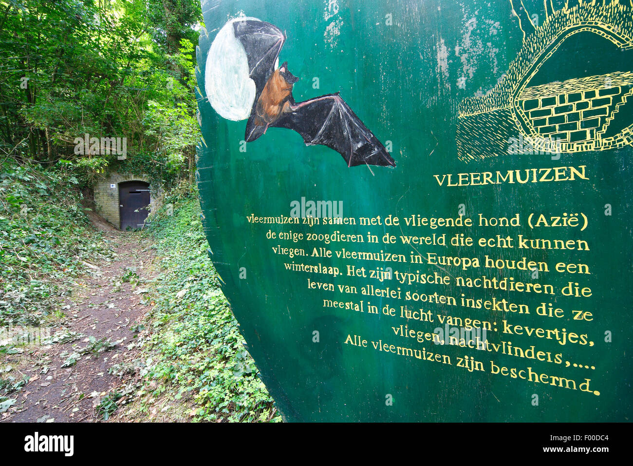 Info-Tafel mit Fledermaus Keller, Belgien Stockfoto