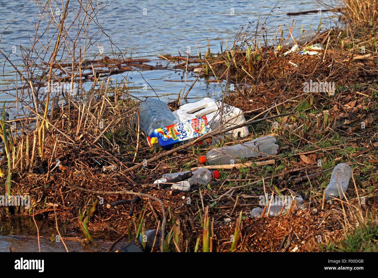 Treibgut und leeren Plastikflaschen am See, Deutschland Stockfoto