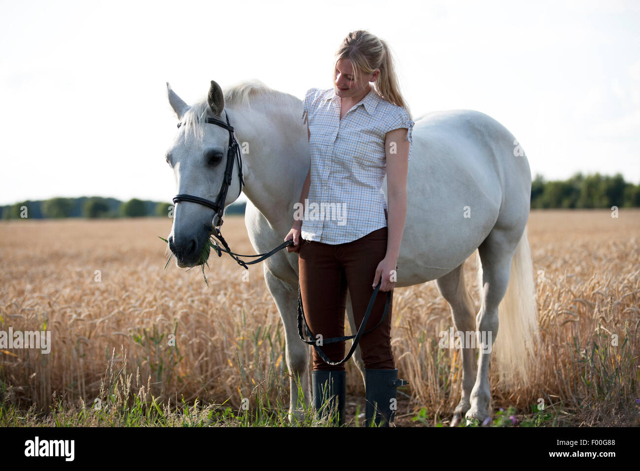 Eine junge Frau und ihr Pferd in einem Weizenfeld Stockfoto